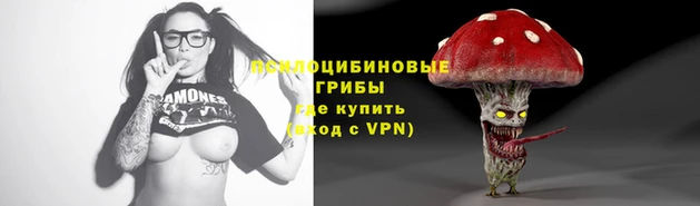 шишки Майский