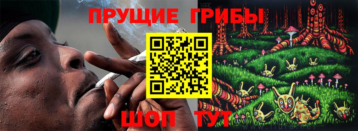 Псилоцибиновые грибы мицелий  Вход с VPN  купить закладку  Новый Уренгой 